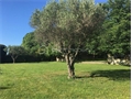 Image du bien UBI477904439